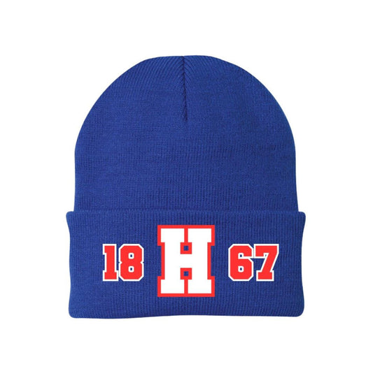 Cozy Howard University Beanie - Show Your Bison Pride | Stylish Winter Hat | Perfect Gift for Students & Alumni